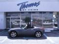 2009 Sly Gray Pontiac Solstice Roadster  photo #2