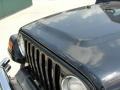 Black Clearcoat - Wrangler X 4x4 Photo No. 12
