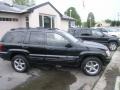 Brillant Black Crystal Pearl - Grand Cherokee Limited 4x4 Photo No. 6