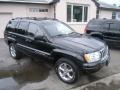 Brillant Black Crystal Pearl - Grand Cherokee Limited 4x4 Photo No. 7