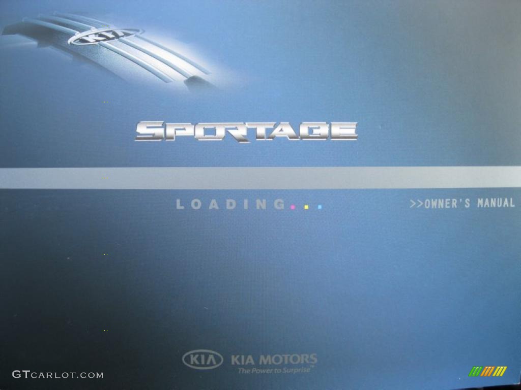 2010 Sportage LX V6 4x4 - Steel Silver / Black photo #26