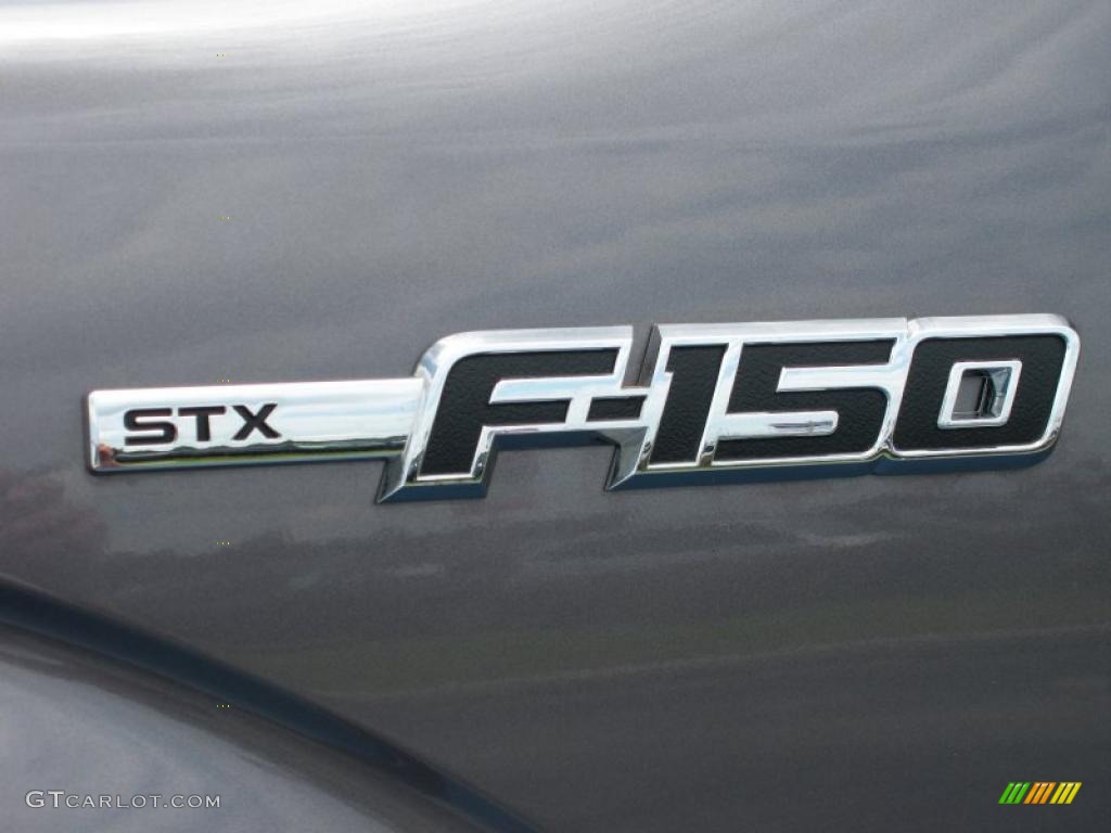 2010 F150 STX Regular Cab - Sterling Grey Metallic / Medium Stone photo #4