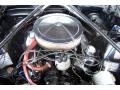 Raven Black - Mustang Convertible Photo No. 49