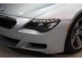 Silverstone Metallic - M6 Coupe Photo No. 10