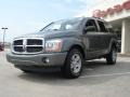 2006 Mineral Gray Metallic Dodge Durango SLT 4x4  photo #7