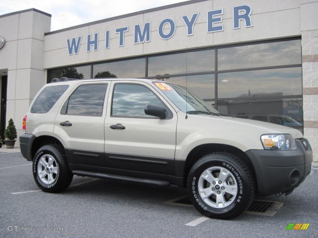 2005 Escape XLT V6 4WD - Gold Ash Metallic / Medium/Dark Pebble Beige photo #1