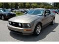 2005 Mineral Grey Metallic Ford Mustang GT Deluxe Coupe  photo #12