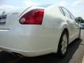 Winter Frost Pearl - Maxima 3.5 SL Photo No. 15