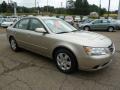 Camel Pearl - Sonata GLS Photo No. 6