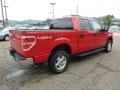 2009 Bright Red Ford F150 XLT SuperCrew 4x4  photo #4
