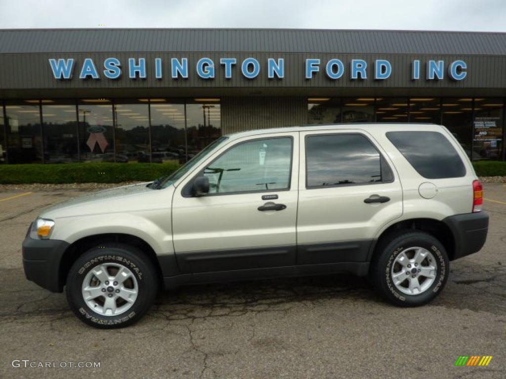 2006 Escape XLT V6 4WD - Gold Ash Metallic / Medium/Dark Pebble photo #1