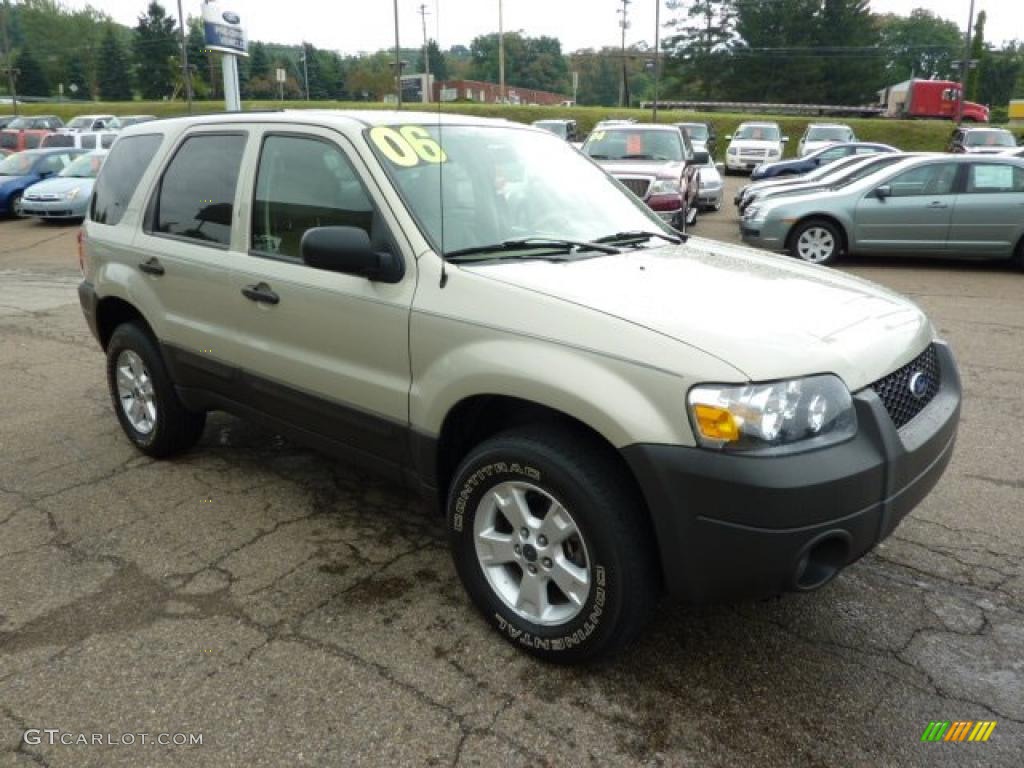 2006 Escape XLT V6 4WD - Gold Ash Metallic / Medium/Dark Pebble photo #6