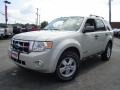 2008 Light Sage Metallic Ford Escape XLT 4WD  photo #1