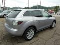 Liquid Platinum Metallic - CX-7 Touring Photo No. 4