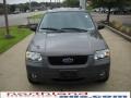 Dark Shadow Grey Metallic - Escape XLT V6 4WD Photo No. 14