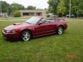 40th Anniversary Crimson Red Metallic - Mustang V6 Convertible Photo No. 9