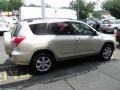 Savannah Metallic - RAV4 Limited 4WD Photo No. 9