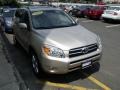 Savannah Metallic - RAV4 Limited 4WD Photo No. 11