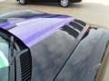 2010 Viper Black/Purple Dodge Viper SRT10 Roanoke Dodge Edition Coupe  photo #8