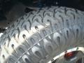 Speedway Blue - Tacoma V6 TRD Access Cab 4x4 Photo No. 20