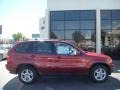 2003 Sienna Red Metallic BMW X5 3.0i  photo #8