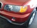 Sienna Red Metallic - X5 3.0i Photo No. 22