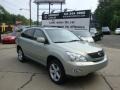 Bamboo Green Pearl - RX 350 AWD Photo No. 1