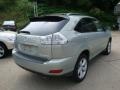Bamboo Green Pearl - RX 350 AWD Photo No. 2