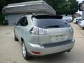 Bamboo Green Pearl - RX 350 AWD Photo No. 4