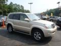 Savannah Beige Metallic - GX 470 Photo No. 1