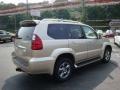 Savannah Beige Metallic - GX 470 Photo No. 2