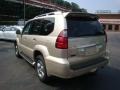 Savannah Beige Metallic - GX 470 Photo No. 4