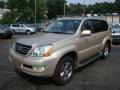 Savannah Beige Metallic - GX 470 Photo No. 5