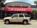 2007 Sandstone Metallic Chevrolet TrailBlazer LS  photo #1