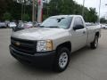 2009 Silver Birch Metallic Chevrolet Silverado 1500 Regular Cab 4x4  photo #5