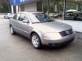 Silverstone Grey Metallic - Passat GLX Sedan Photo No. 2