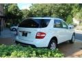 Alabaster White - ML 350 4Matic Photo No. 3
