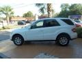 Alabaster White - ML 350 4Matic Photo No. 6