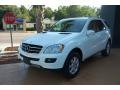 Alabaster White - ML 350 4Matic Photo No. 7