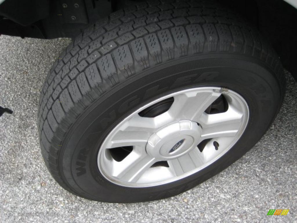 2005 F150 XLT SuperCab - Silver Metallic / Medium Flint Grey photo #9