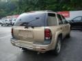 Sandstone Metallic - TrailBlazer LS 4x4 Photo No. 4