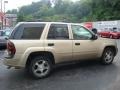 Sandstone Metallic - TrailBlazer LS 4x4 Photo No. 5