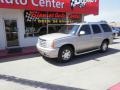 Quicksilver - Escalade AWD Photo No. 3