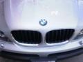 Titanium Silver Metallic - X5 3.0i Photo No. 29
