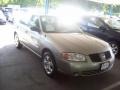 Radium Gray - Sentra 1.8 Photo No. 1