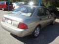 Radium Gray - Sentra 1.8 Photo No. 18