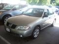 Radium Gray - Sentra 1.8 Photo No. 19