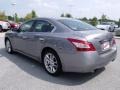 Precision Gray Metallic - Maxima 3.5 SV Photo No. 3