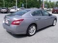 Precision Gray Metallic - Maxima 3.5 SV Photo No. 5