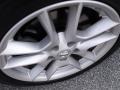 Precision Gray Metallic - Maxima 3.5 SV Photo No. 9